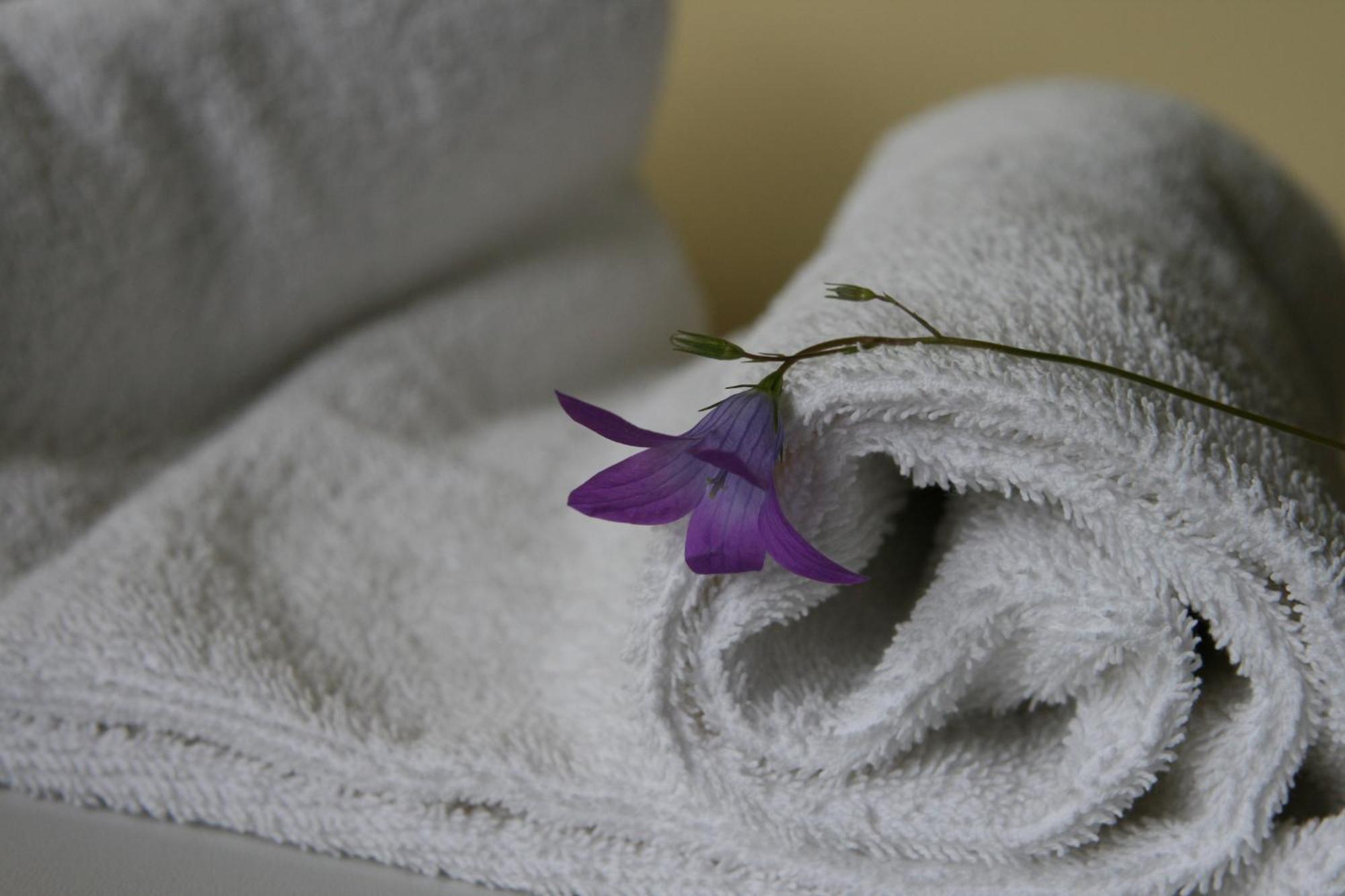 Hotel Audenis Μπίρστονας Δωμάτιο φωτογραφία